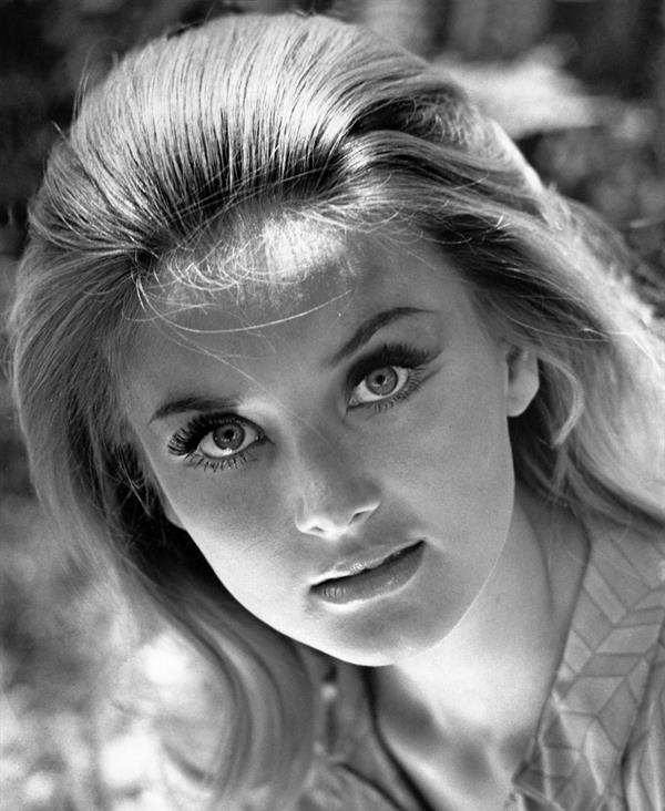 Barbara Bouchet