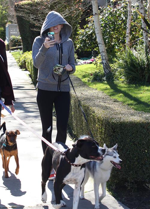 Miley Cyrus walking her dog in Studio City 1/28/13 