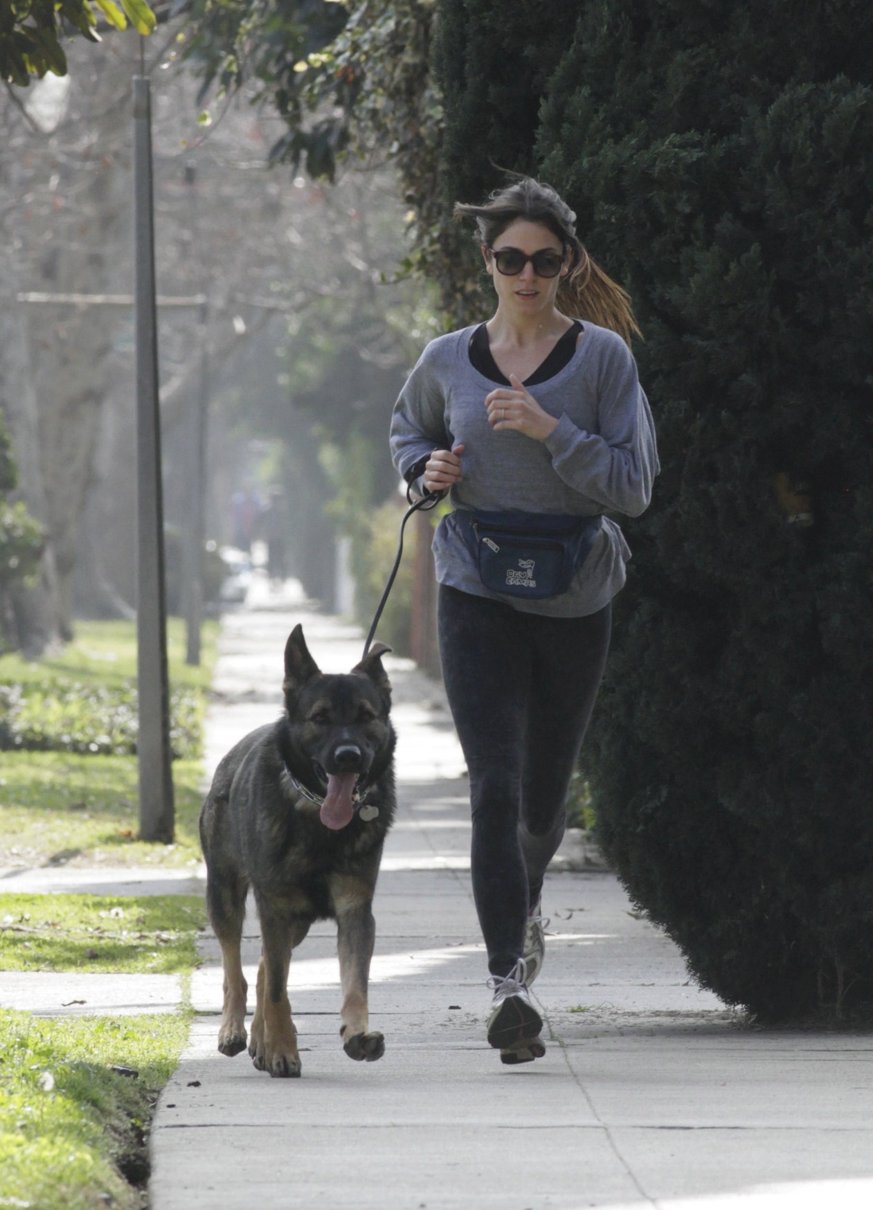 Nikki Reed jogging with her dog Enzo in Los Angeles on February 6, 2013