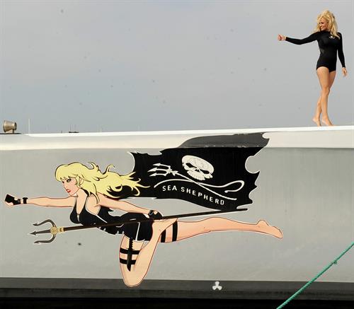 Pamela Anderson Launches Sea Shepherds Operation Zero Tolerance Whale Defense Campaign on November 2, 2012 