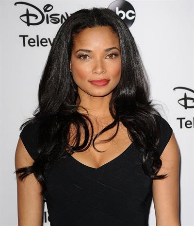 Rochelle Aytes 2013 TCA Winter Press Tour - Disney ABC Television Group Red Carpet Gala (Jan 10, 2013) 