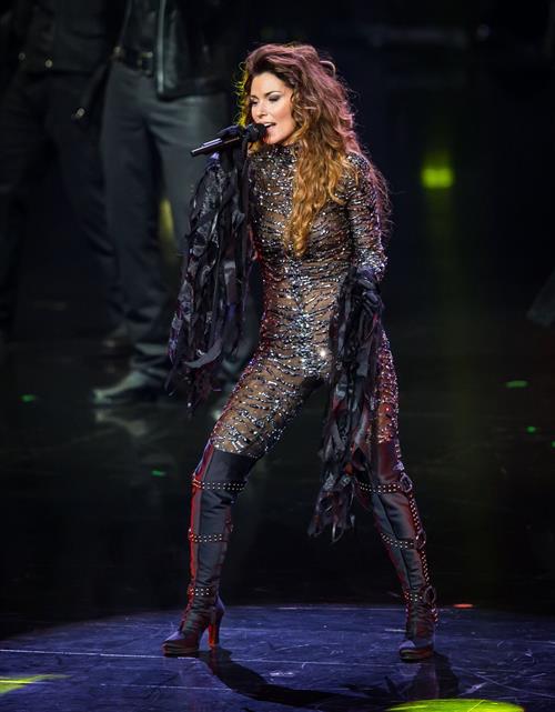 Shania Twain 'Still The One' Residency Show Opening Night (December 1, 2012) 