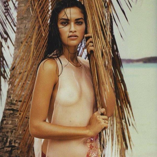 Shanina Shaik