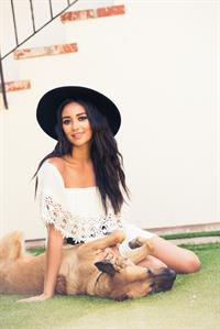 Shay Mitchell