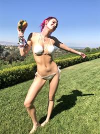 Bella Thorne in a bikini