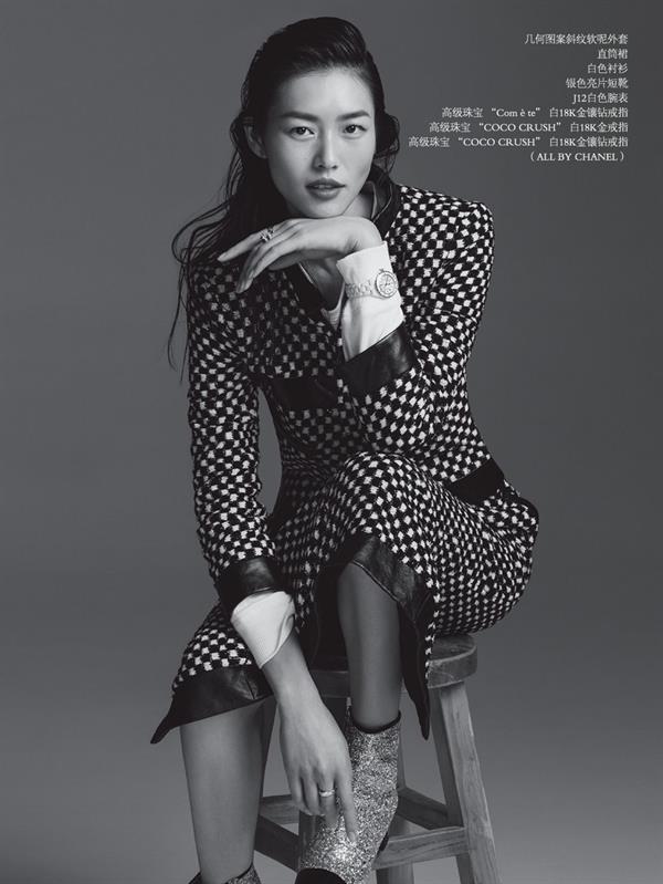 Liu Wen