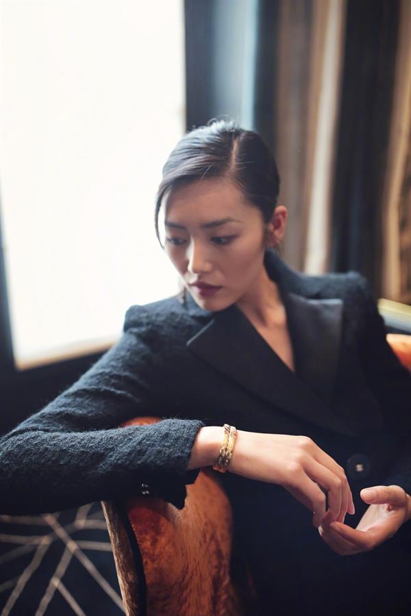 Liu Wen