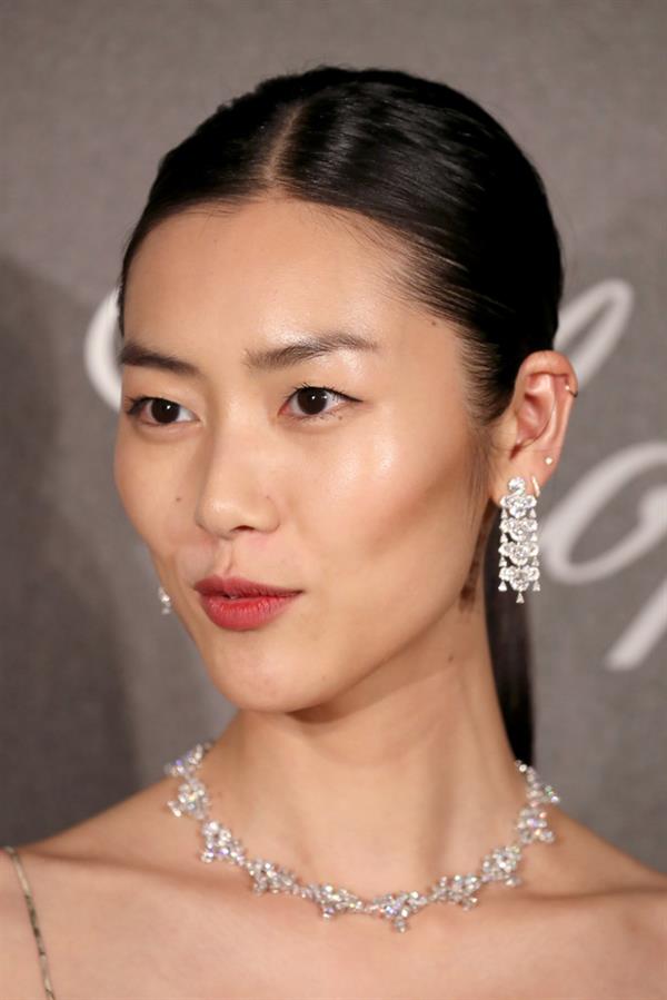 Liu Wen