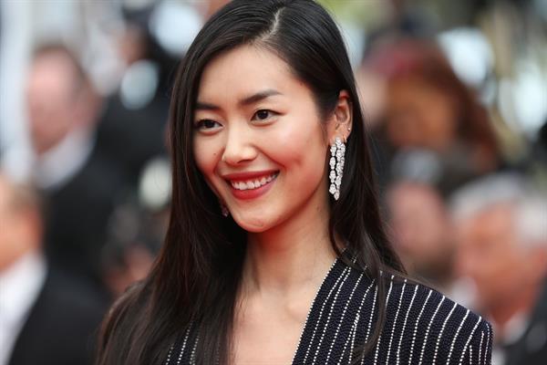 Liu Wen