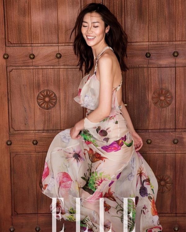 Liu Wen