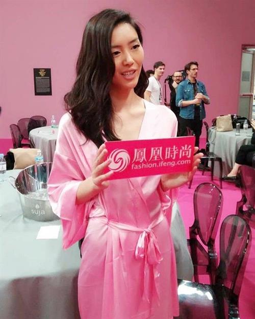 Liu Wen