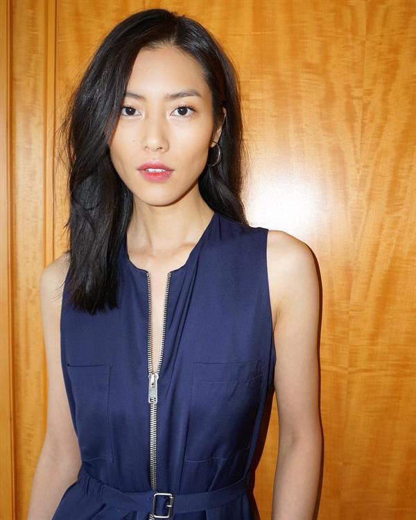 Liu Wen