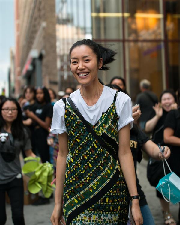 Liu Wen