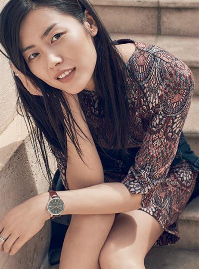 Liu Wen