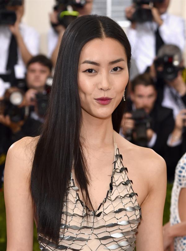 Liu Wen