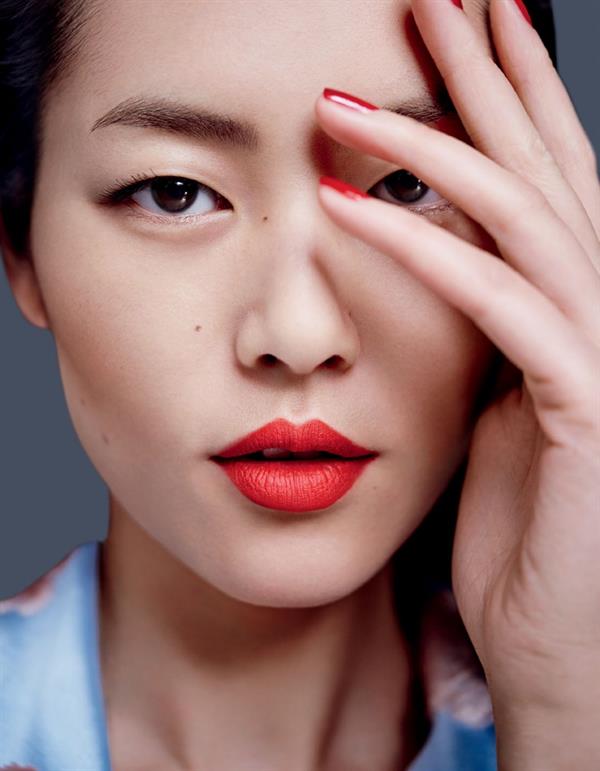 Liu Wen