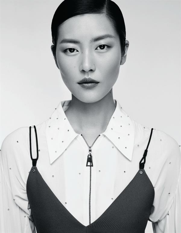 Liu Wen