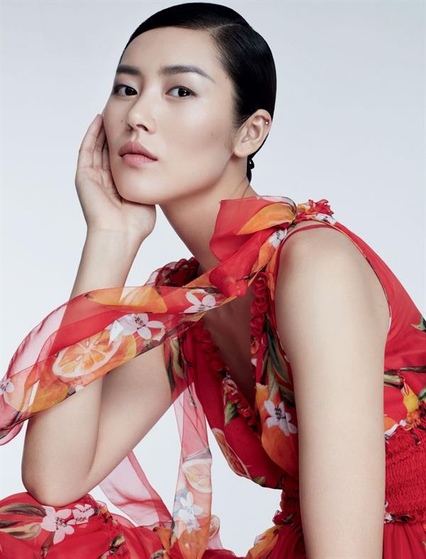 Liu Wen