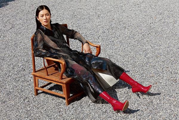 Liu Wen