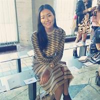 Liu Wen