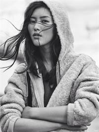 Liu Wen