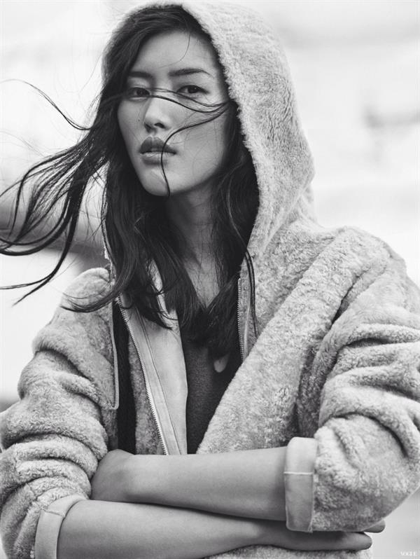 Liu Wen