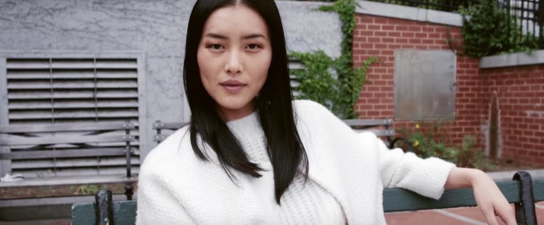 Liu Wen
