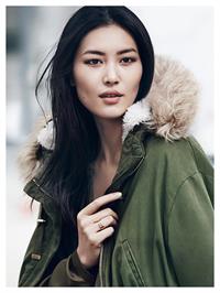 Liu Wen