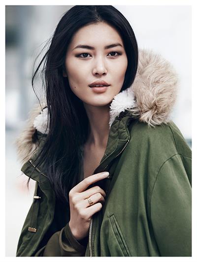 Liu Wen