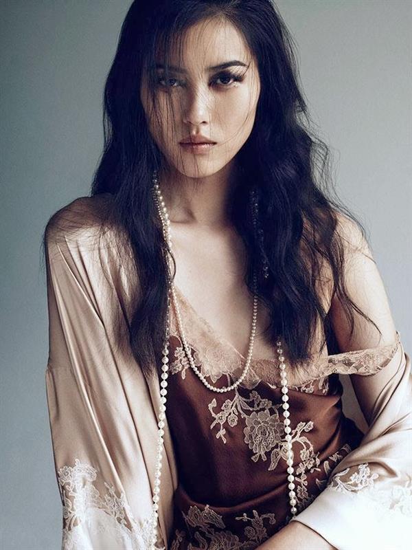 Liu Wen