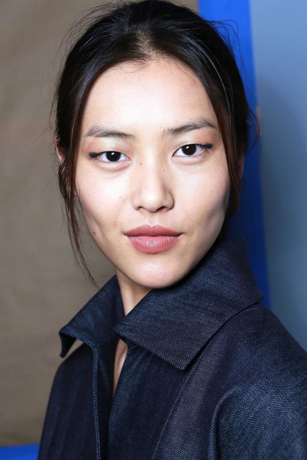 Liu Wen