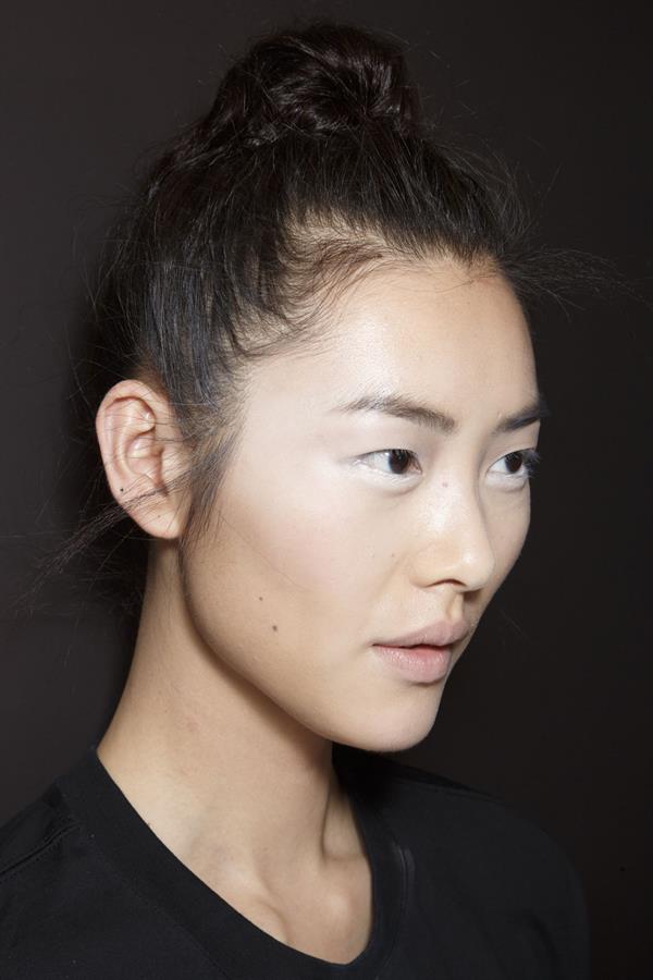 Liu Wen