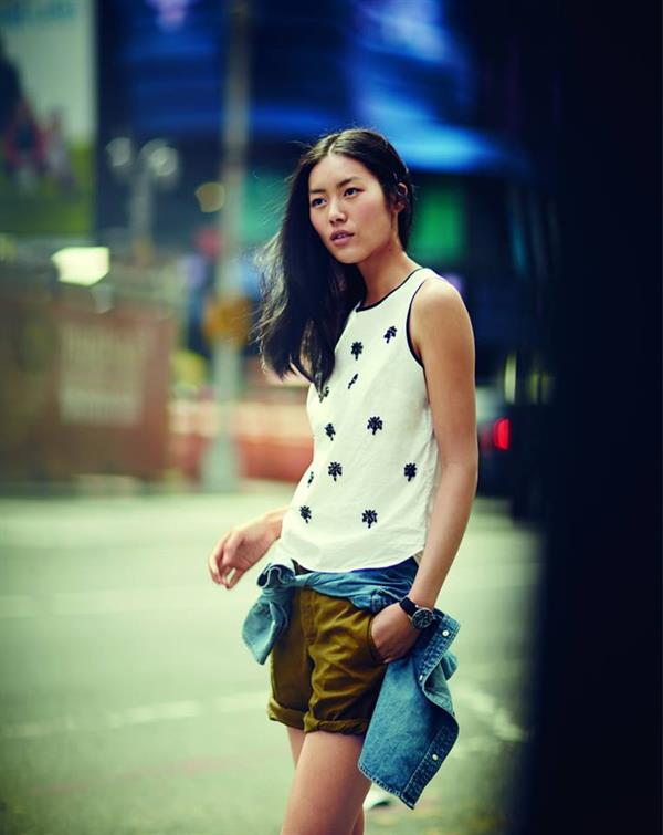 Liu Wen