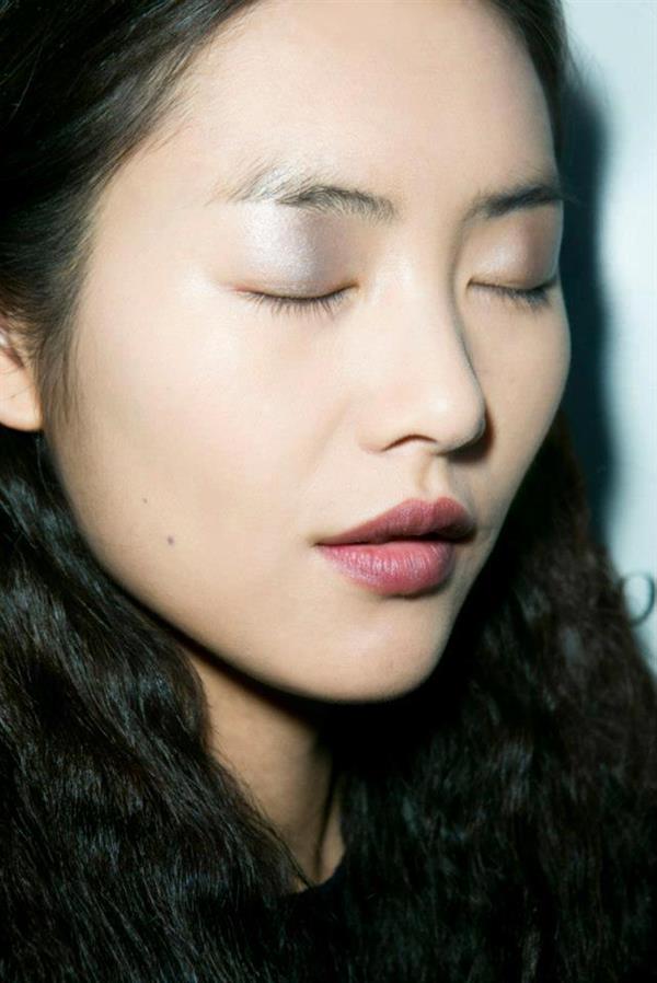 Liu Wen