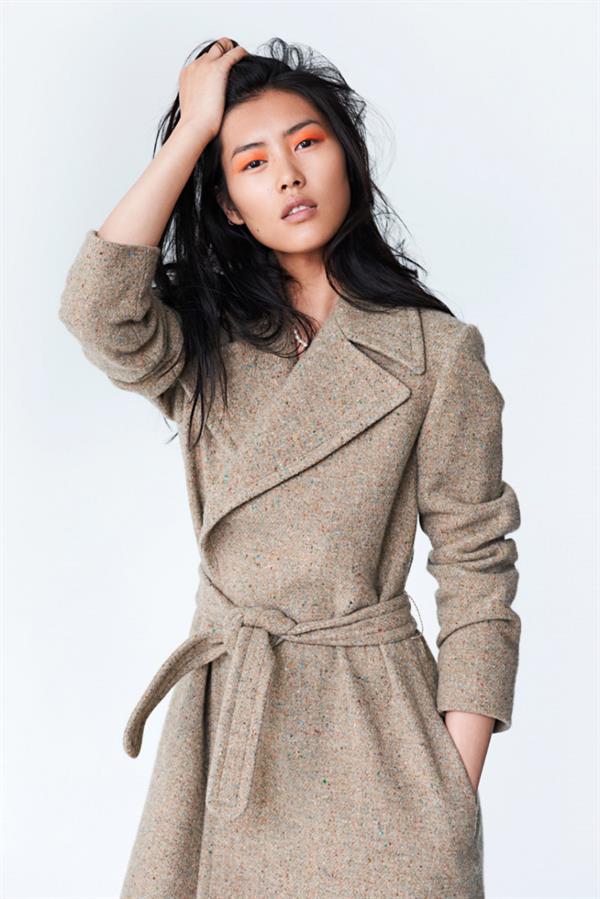 Liu Wen