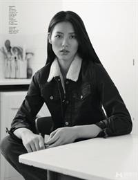 Liu Wen