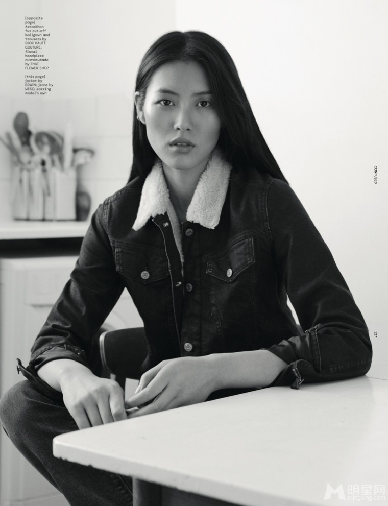Liu Wen