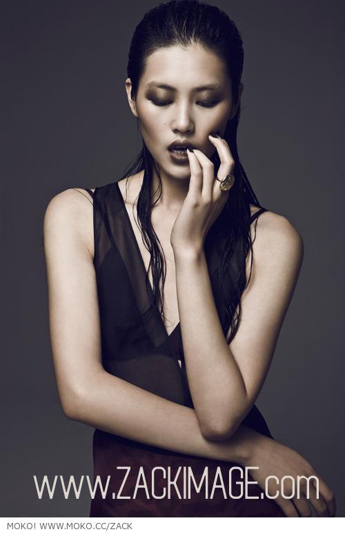 Liu Wen