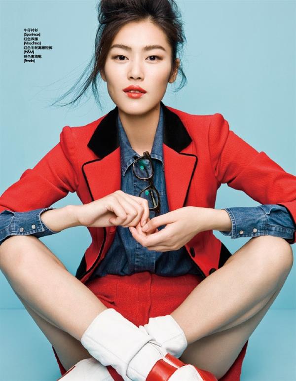 Liu Wen