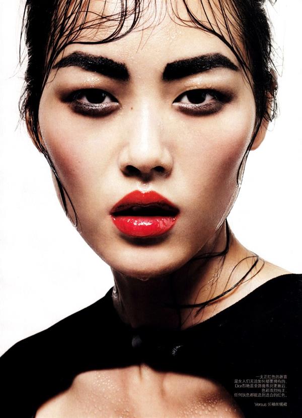 Liu Wen