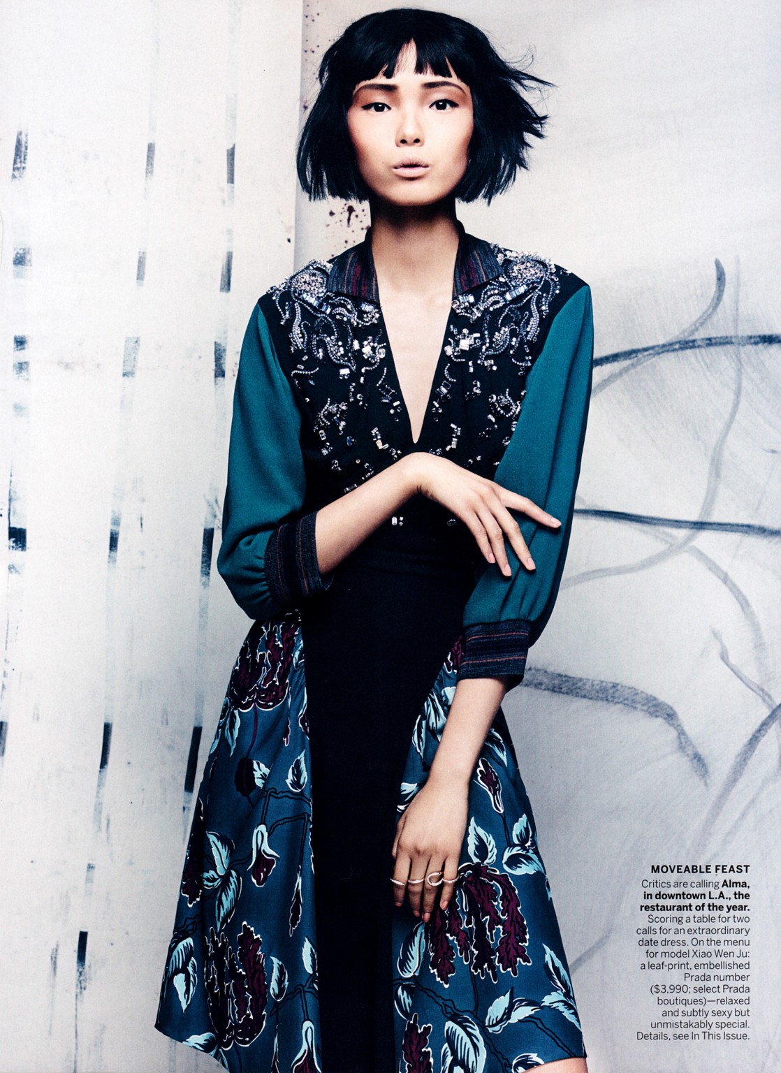 Xiao Wen Ju