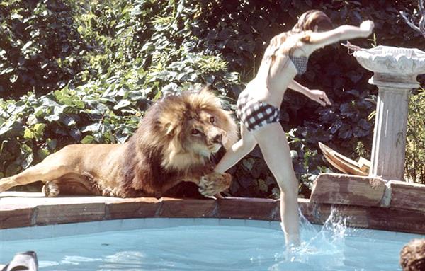 Melanie Griffith getting attacked by her pet lion...