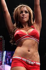 Brittney Palmer in a bikini