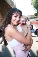 Jordana Brewster