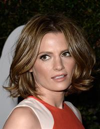 Stana Katic  Mandela: Long Walk To Freedom  Los Angeles Premiere - Hollywood, Nov. 11, 2013 