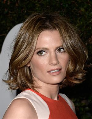 Stana Katic  Mandela: Long Walk To Freedom  Los Angeles Premiere - Hollywood, Nov. 11, 2013 