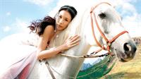 Karen Mok