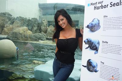 Denise Milani Snapshots - Aquarium