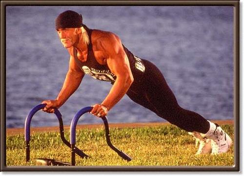 Hulk Hogan
