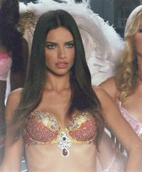 Adriana Lima in lingerie